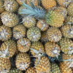 Découvrez le Marché Forain de Saint-Pierre : Une expérience authentique à La Réunion