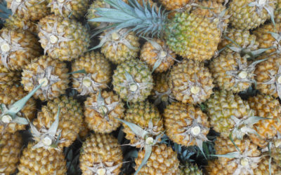 Découvrez le Marché Forain de Saint-Pierre : Une expérience authentique à La Réunion