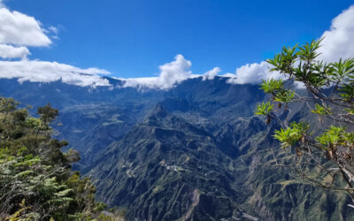 RANDONNEE AU PITON CABRIS: UN PANORAMA A COUPER LE SOUFFLE SUR LE CIRQUE DE CILAOS!